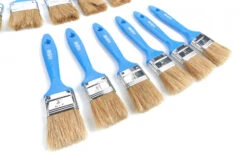 HBM 50 Delige Wegwerp Schilders Verfkwasten Set 6 HBM 50 Delige Wegwerp Schilders Verfkwasten Set -Werkplaats Gereedschap Serie hbm 2226.jpg 1200x600 d6abfebc88